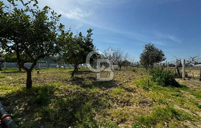 MENEMEN/SÜLEYMANLI'DA SATILIK YOLA SIFIR 2+1 BAHÇELİ BAĞ EVİ