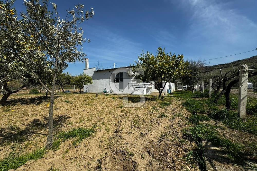 MENEMEN/SÜLEYMANLI'DA SATILIK YOLA SIFIR 2+1 BAHÇELİ BAĞ EVİ