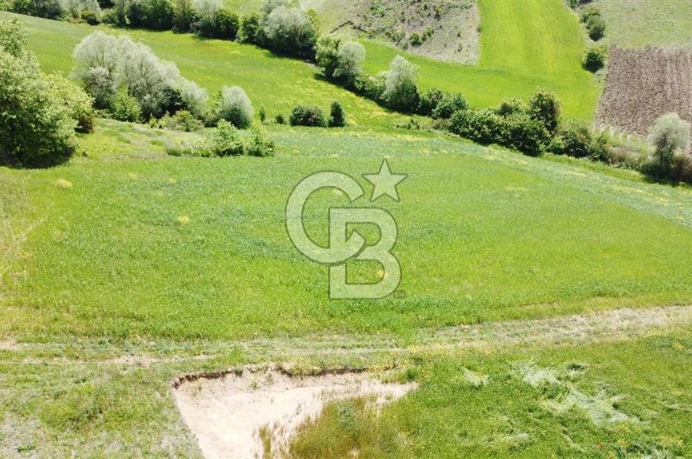 Karagöllüde Yola Cephe, Müstakil(Tek Tapu) Satılık Parsel