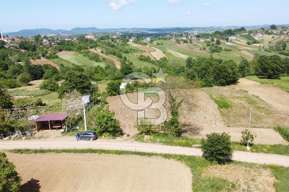 Kandıra Yusufça Köyünde Uygun Fiyatlı 1150 m² Satılık  Parsel 