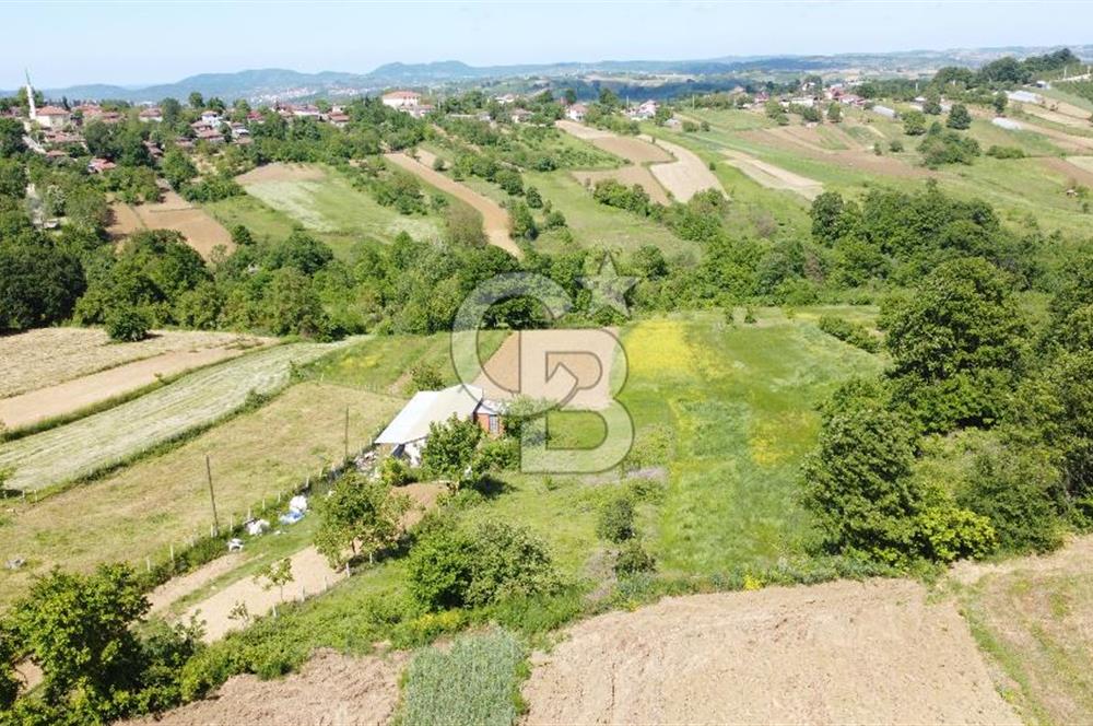 Kandıra Yusufça Köyünde Uygun Fiyatlı 1150 m² Satılık  Parsel 
