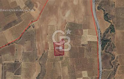 Çal Merkez de 4.775 M² Satılık Arazi