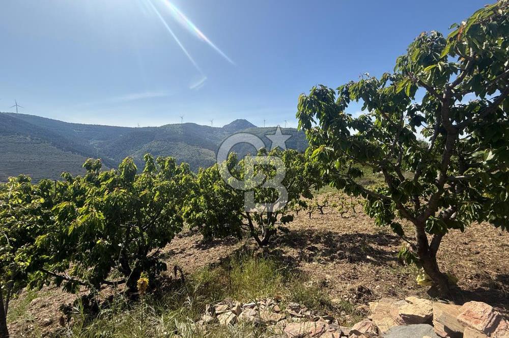 Kemalpaşa Bayramlı Mah 2368 m2 Satılık Bağ