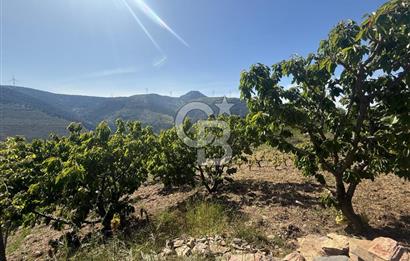Kemalpaşa Bayramlı Mah 2368 m2 Satılık Bağ
