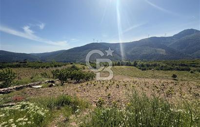 Kemalpaşa Bayramlı Mah 2368 m2 Satılık Bağ