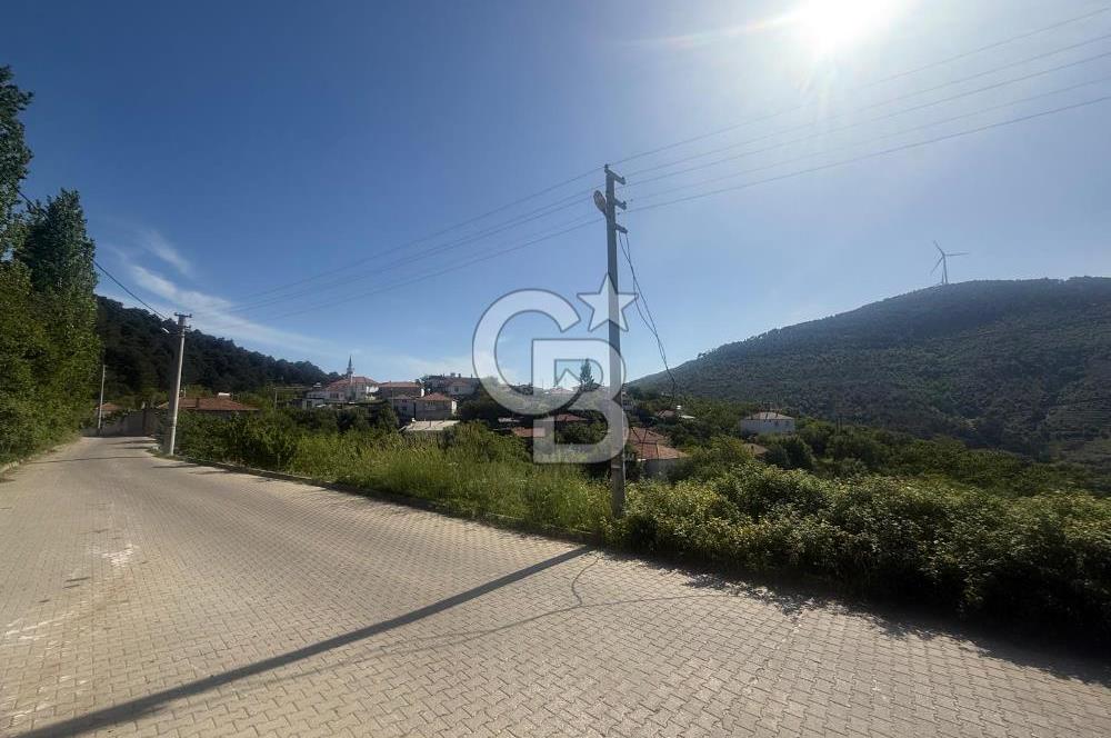 Kemalpaşa Bayramlı Mah 2368 m2 Satılık Bağ