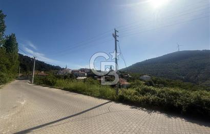 Kemalpaşa Bayramlı Mah 2368 m2 Satılık Bağ