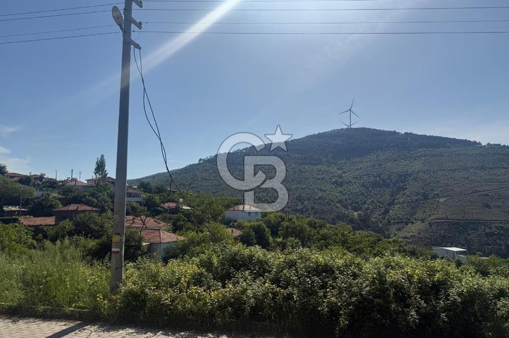 Kemalpaşa Bayramlı Mah 2368 m2 Satılık Bağ