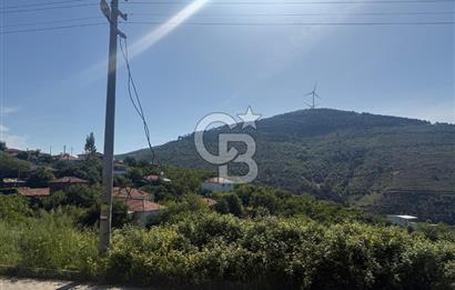 Kemalpaşa Bayramlı Mah 2368 m2 Satılık Bağ