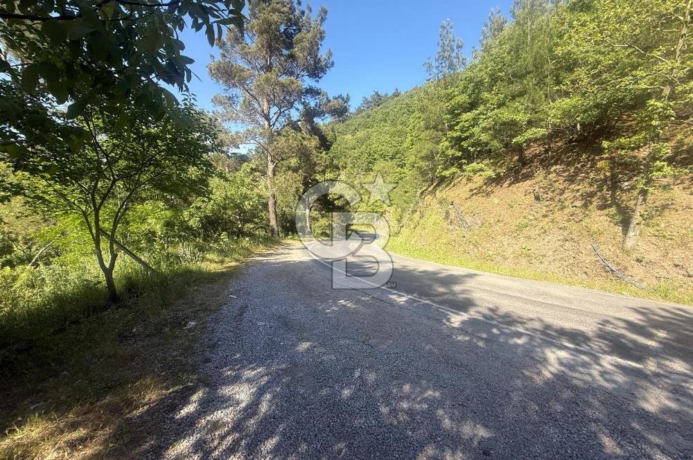 Kemalpaşa Bayramlı Mah 2368 m2 Satılık Bağ
