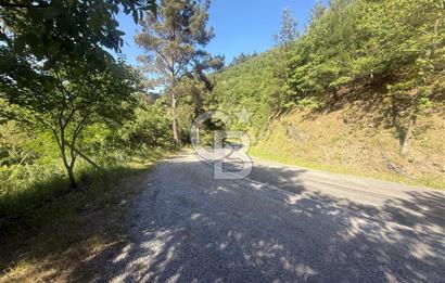 Kemalpaşa Bayramlı Mah 2368 m2 Satılık Bağ