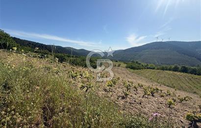 Kemalpaşa Bayramlı Mah 2368 m2 Satılık Bağ