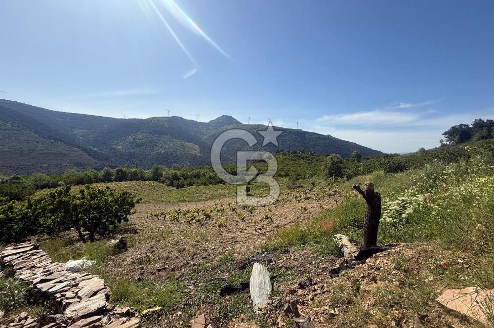 Kemalpaşa Bayramlı Mah 2368 m2 Satılık Bağ