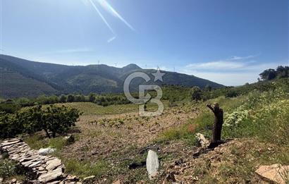 Kemalpaşa Bayramlı Mah 2368 m2 Satılık Bağ