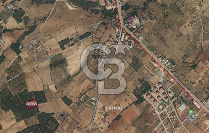 Çal Merkez de 3.701 M² Satılık Arazi