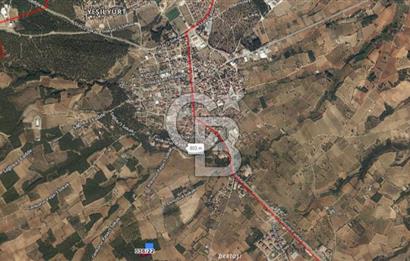 Çal Merkez de 3.701 M² Satılık Arazi