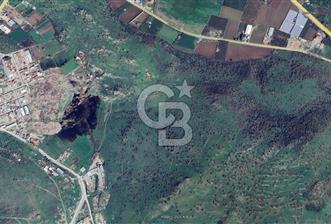 DİKİLİ'DE FUL DENİZ MANZARALI SATILIK 388 M2 VİLLA ARSASI