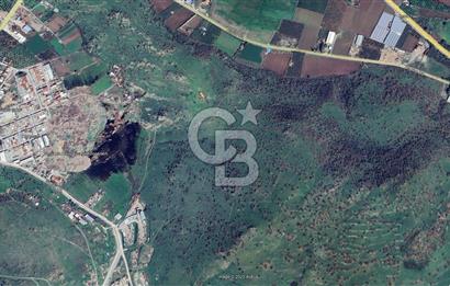 DİKİLİ'DE FUL DENİZ MANZARALI SATILIK 388 M2 VİLLA ARSASI