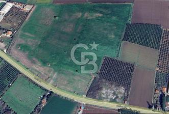 DİKİLİ'DE TİCARİ İMARLI 845 M2 SATILIK ARSA