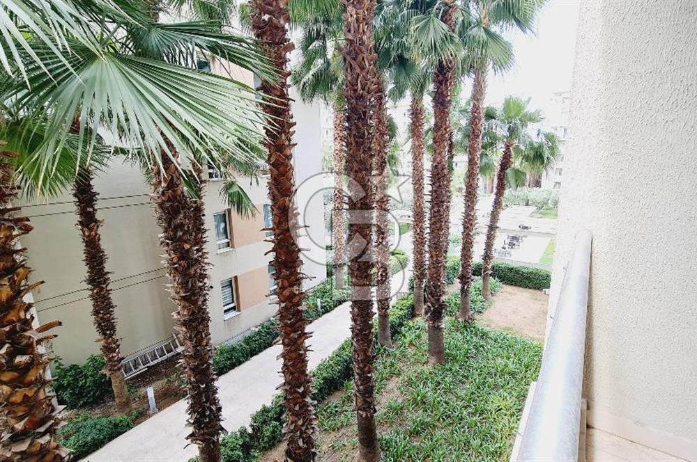 Soyak Siesta 1. Etap 2+1 Havuz Cephe Kiralık Daire Fulya Tok tan