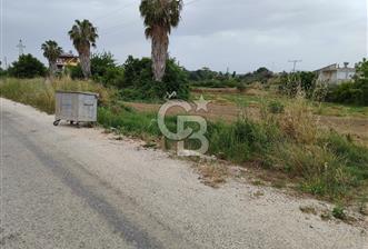 A. Işıklarda satılık 1607 m2 tarla