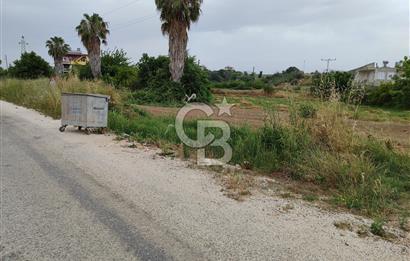 A. Işıklarda satılık 1607 m2 tarla