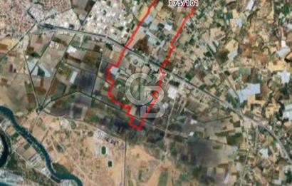 A. Işıklarda satılık 1607 m2 tarla