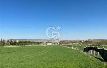 Gölbaşı Gökçehüyük te 1471 m2 Tek Tapu Tarla