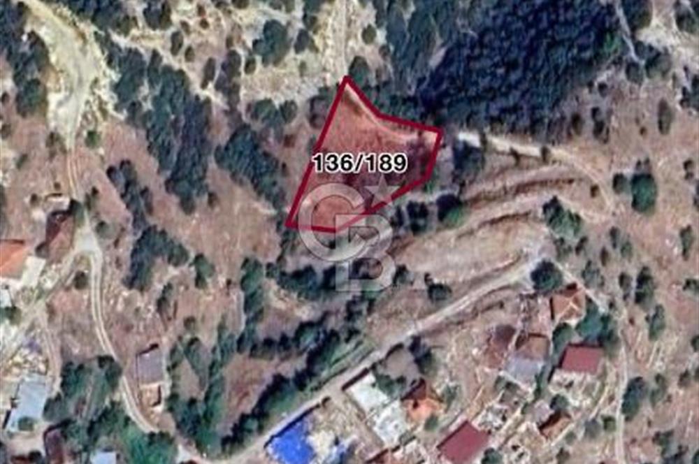 Çal Dağmarmara'da Köy İçi İmarlı 1.005 m² Satılık Arsa