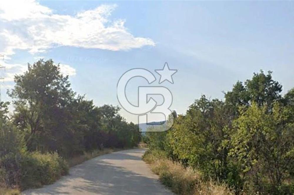 ASFALT YOLA 60 M CEPHELİ YATIRIMLIK TARLA