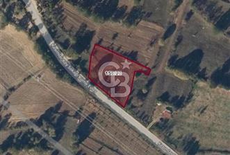 ASFALT YOLA 60 M CEPHELİ YATIRIMLIK TARLA
