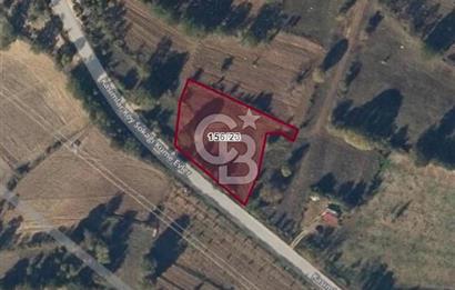 ASFALT YOLA 60 M CEPHELİ YATIRIMLIK TARLA