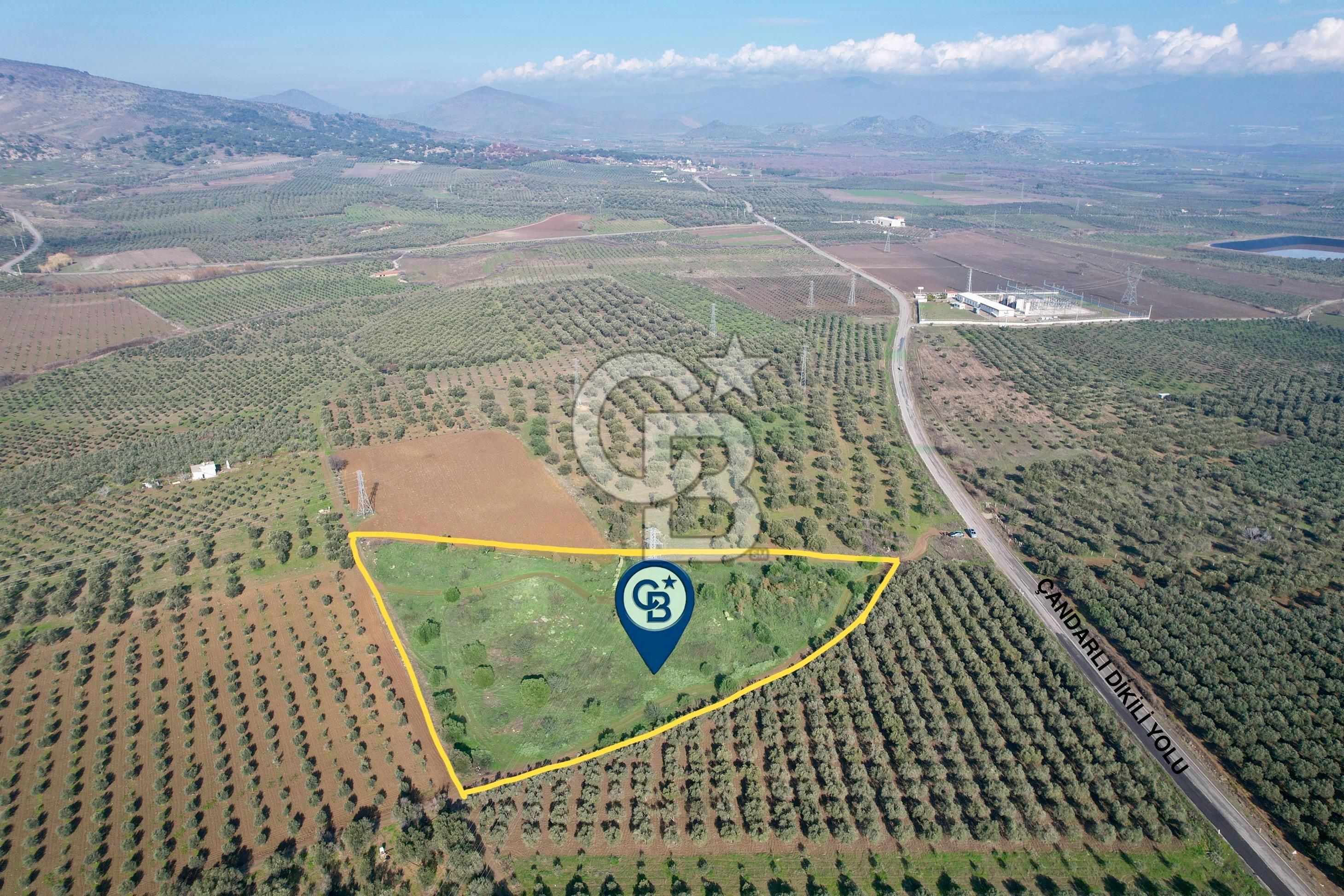 Dikili çandarlı yolunda 9809 m2 tarla 