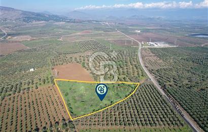 Dikili çandarlı yolunda 9809 m2 tarla 