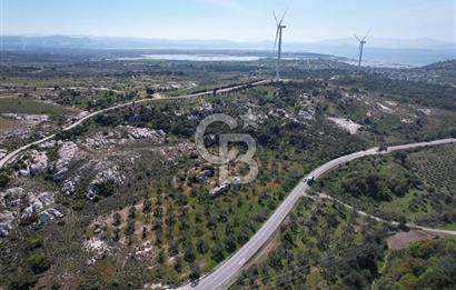 Dikili çandarlı yoluna sıfır 1419 m2 zeytinlik