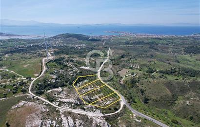 Dikili çandarlı yoluna sıfır 1419 m2 zeytinlik
