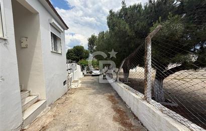 Urla bademler köy yenilenmiş müstakil ev