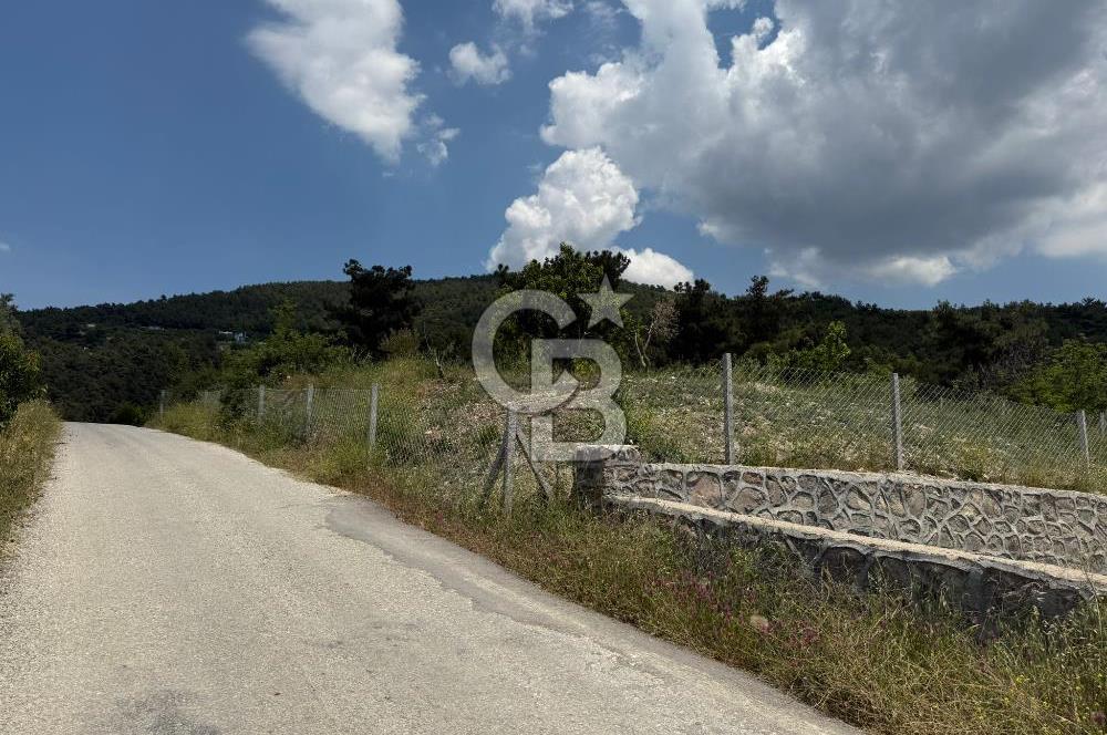 İzmir Kemalpaşa Damlacıkta Acil Satılık Arsa