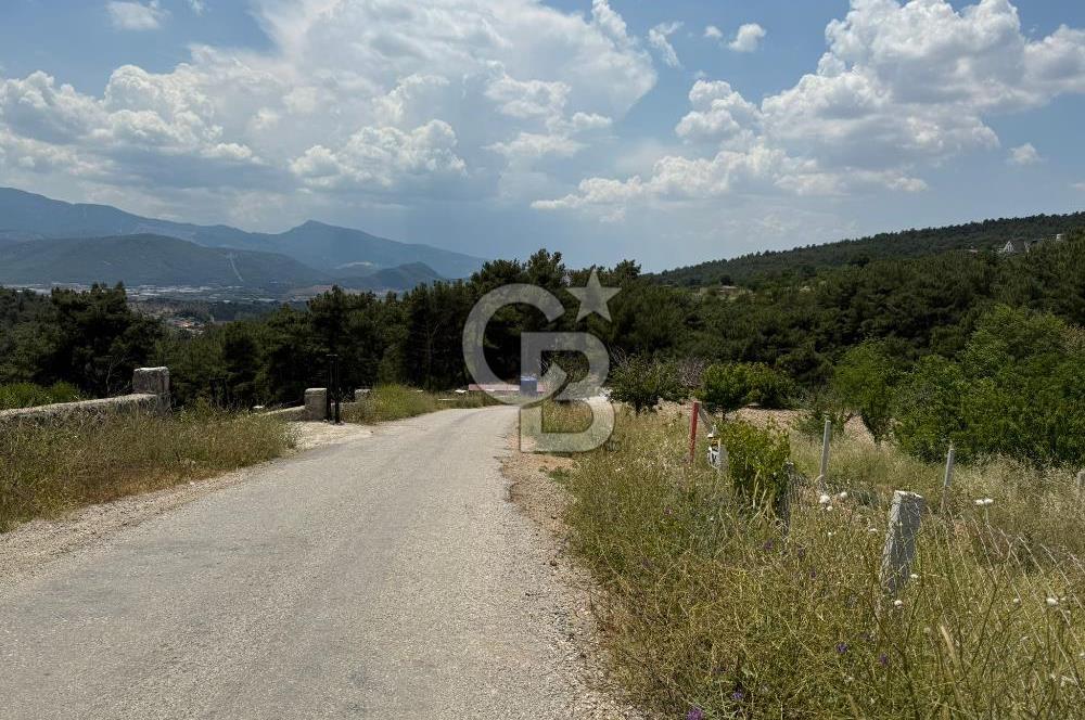 İzmir Kemalpaşa Damlacıkta Acil Satılık Arsa