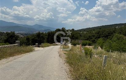 İzmir Kemalpaşa Damlacıkta Acil Satılık Arsa