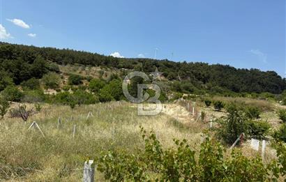 İzmir Kemalpaşa Damlacıkta Acil Satılık Arsa