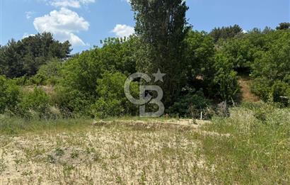 İzmir Kemalpaşa Damlacıkta Acil Satılık Arsa