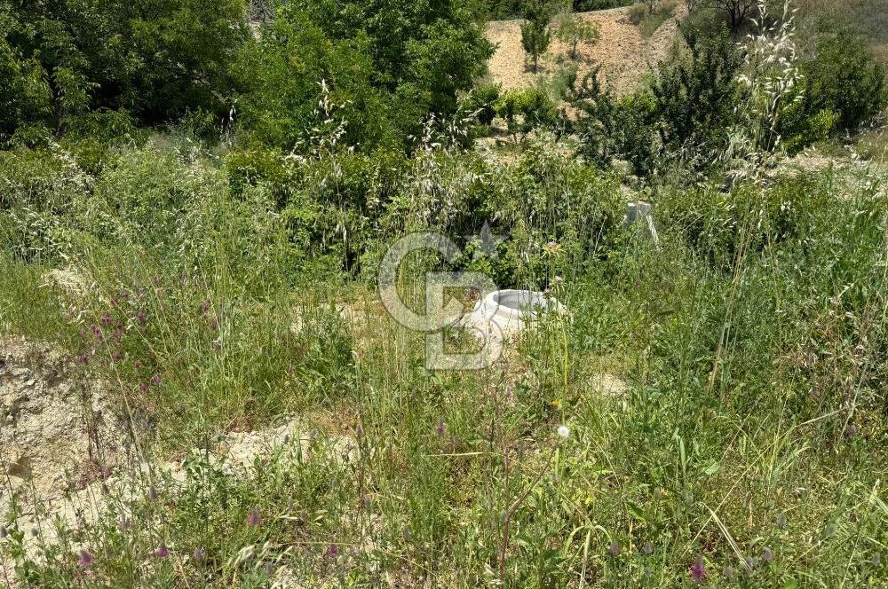 İzmir Kemalpaşa Damlacıkta Acil Satılık Arsa
