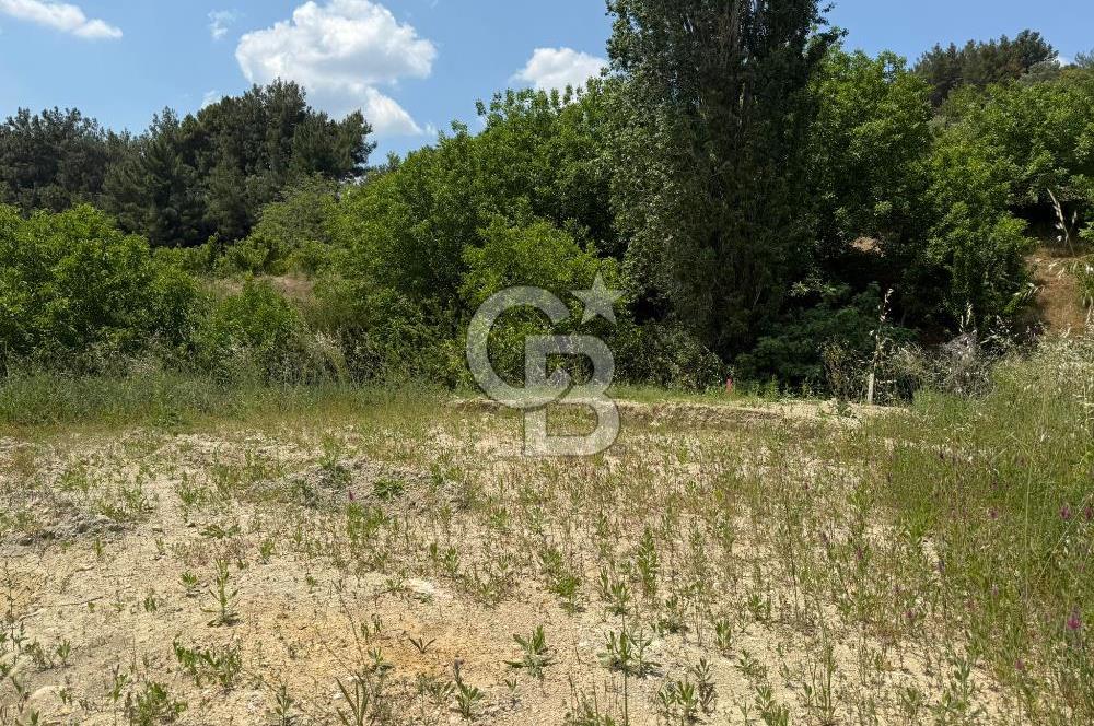 İzmir Kemalpaşa Damlacıkta Acil Satılık Arsa