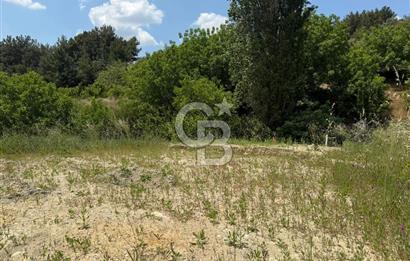 İzmir Kemalpaşa Damlacıkta Acil Satılık Arsa