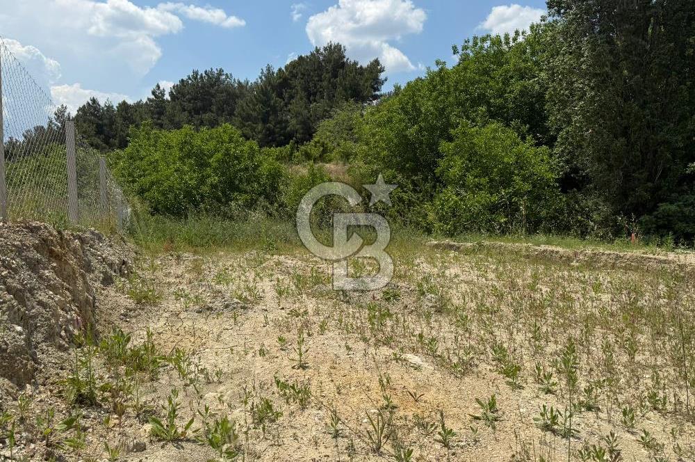 İzmir Kemalpaşa Damlacıkta Acil Satılık Arsa