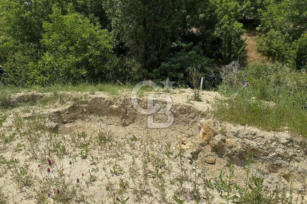 İzmir Kemalpaşa Damlacıkta Acil Satılık Arsa