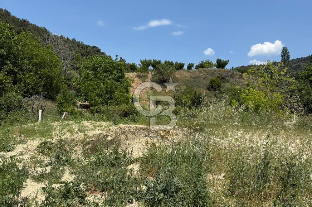 İzmir Kemalpaşa Damlacıkta Acil Satılık Arsa
