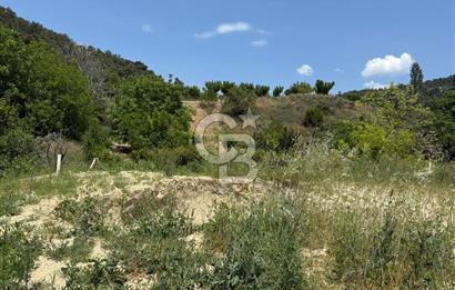 İzmir Kemalpaşa Damlacıkta Acil Satılık Arsa