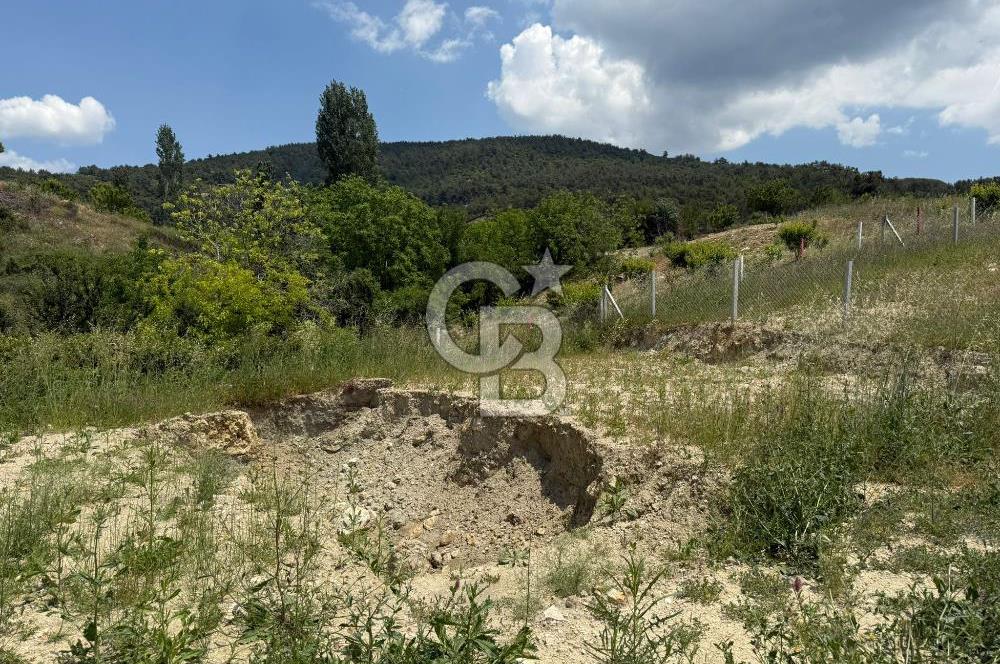 İzmir Kemalpaşa Damlacıkta Acil Satılık Arsa